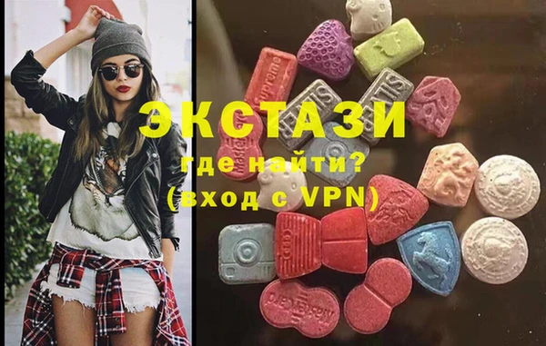 гашик Краснослободск