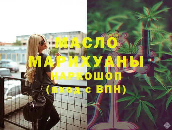 гашик Краснослободск