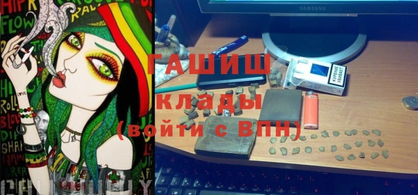 гашик Краснослободск