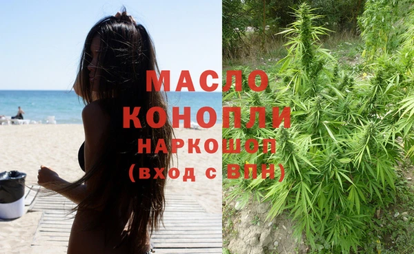 гашик Краснослободск