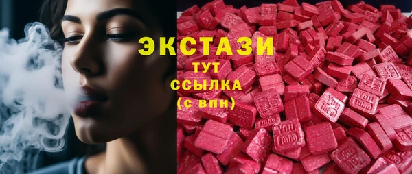 гашик Краснослободск