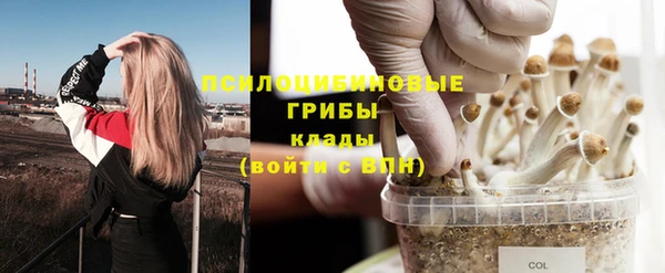 гашик Краснослободск