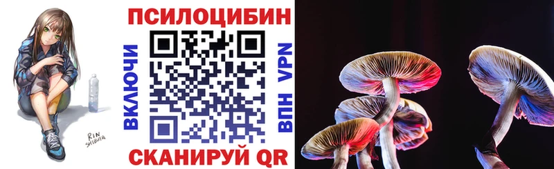 Купить закладки  Жирновск  Псилоцибиновые грибы Cubensis 