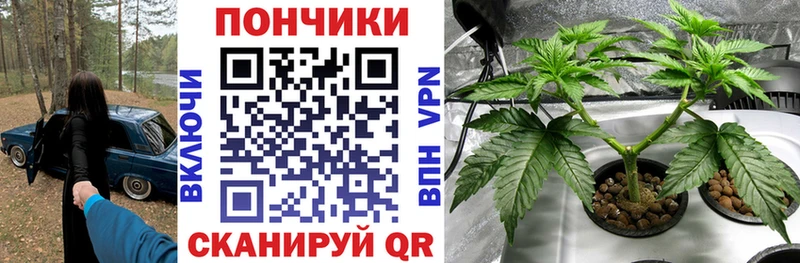 Купить где  Жирновск  Каннабис индика 